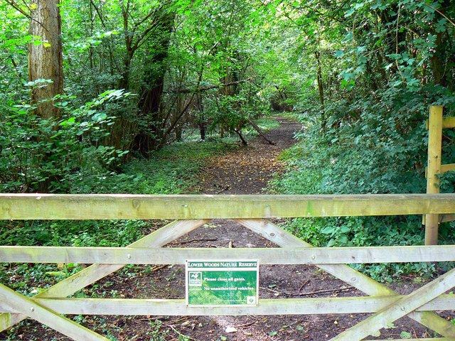 Gateway into Lower Woods nature reserve